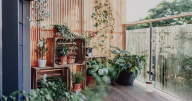 Приятный бонус